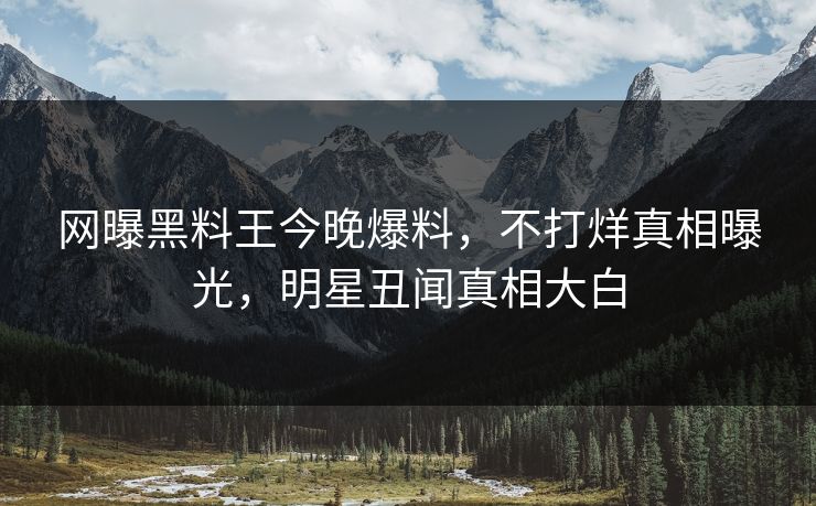 网曝黑料王今晚爆料，不打烊真相曝光，明星丑闻真相大白