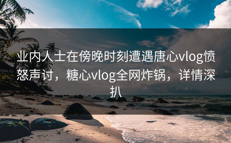 业内人士在傍晚时刻遭遇唐心vlog愤怒声讨，糖心vlog全网炸锅，详情深扒
