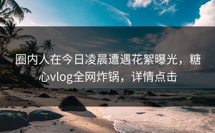 圈内人在今日凌晨遭遇花絮曝光，糖心vlog全网炸锅，详情点击