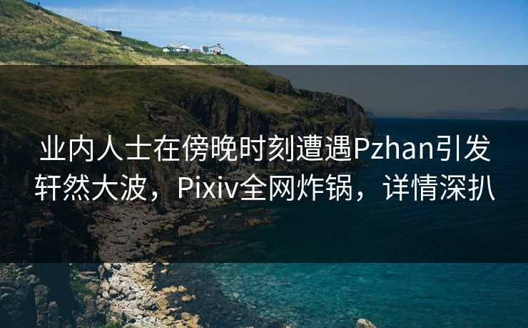 业内人士在傍晚时刻遭遇Pzhan引发轩然大波,Pixiv全网炸锅,详情深扒 业内人士在傍晚时刻遭遇Pzhan引发轩然大波,Pixiv全网炸锅,详情深扒