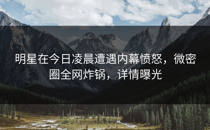 明星在今日凌晨遭遇内幕愤怒，微密圈全网炸锅，详情曝光